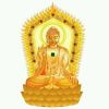 qqid8205505