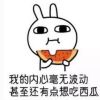 與世界為敵