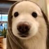 習慣ろ一個人