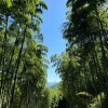 破繭成龍