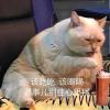 涐の佲牸訆尐