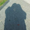 *幸福的向陽花*…/