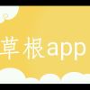 wo搜搜