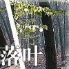 藍色寧靜