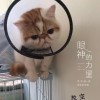 零下@度