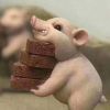 壞壞的人