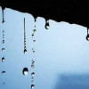  一蓑煙雨