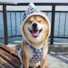 。。。。。。