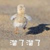 佛說過過過