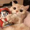 舉個栗子