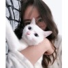 蘿莉小金剛。