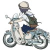 秋鴻