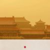 福祿個娃