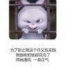回顾♡ 佳梦