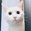 蓝天白云、