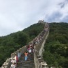 hm2336778