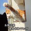 吴广德