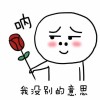 三有-刘蓝君