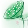 恩，想想