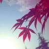 让我静静