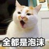 仙人掌团子