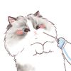 范_cherry🐱