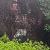 文案君