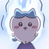 薛定谔的猫