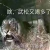 妙策app