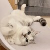 感谢经历