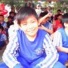 tiglon