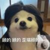 廋了 廋了