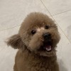 逸游信息科技