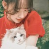 ）ㄣ放映开始放肆的青春