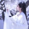 莽原孤狼