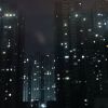 残枫