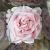 MiHuのRose