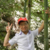 水