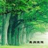 陌上飞烟