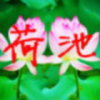 荷叶